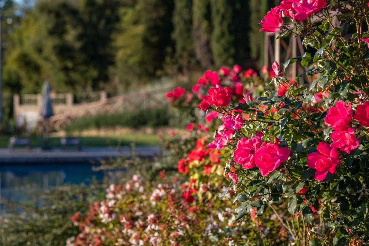 Hotel Chimera Tuscany 4*