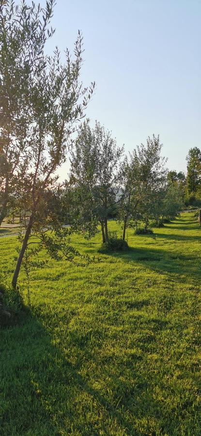Chimera Tuscany Hotel Arezzo